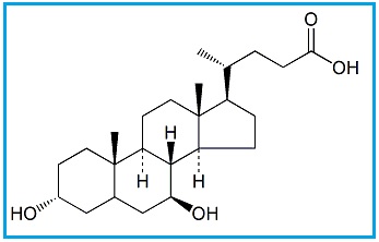 Ursodeoxycholic Acid